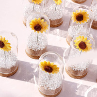 Mini cúpula decorativa de borosilicato transparente soplada a mano con decoración del hogar Europa arte popular girasol ecológico