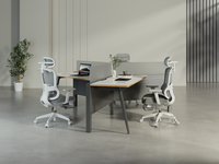 Escritorio de Oficina Modular de Diseño Metálico Moderno, Mesa de Trabajo con Separación para 3 Personas, Estación de Trabajo para Oficina Abierta
