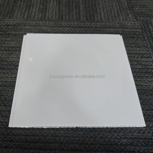 Panel de techo de PVC con sistema de Clip-Bloqueo rápido, fácil instalación para proyectos comerciales y residenciales - Product Image 2
