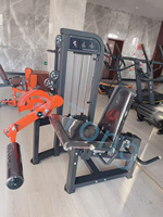 Appareil de gymnastique à double courbure et extension des jambes Équipement de fitness en acier pour l'entraînement et la musculation