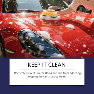 <span class=keywords><strong>Rayhong</strong></span> 237ml Spray de Revêtement Imperméabilisant Anti-Salissures pour Voiture, Agent Nettoyant et Éclaircissant, Prévient les Taches d'Eau et la Saleté - Product Image 5