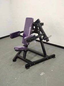 CE Certificate Gym Commercial Home <b>Strength</b> <b>Training</b> Sports Machines Lateral Raise Fitness Equipment - Product Image 3