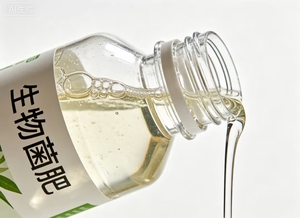 Engrais organique bactérien biologique à libération lente granulaire pour usage agricole - Product Image 5