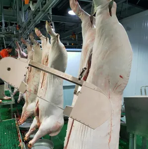 Perlengkapan pembantaian babi abattoir Band gergaji pemisah untuk harga bagus peralatan rumah pemotongan babi