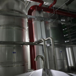 Érythritol granulés - Product Image 1