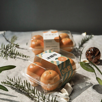 Boîte à gâteau en plastique PET transparente en vente chaude pour les biscuits de Noël, le tiramisu, les desserts, les sandwichs et les emballages de chewing-gum
