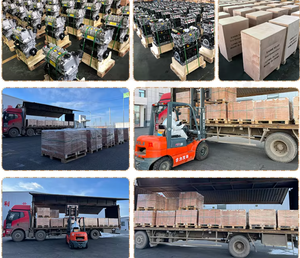 Moteur cat C6.6 1106D-E66TA - Product Image 5