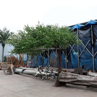 Bonne qualité grand arbre artificiel extérieur olivier d'intérieur pour la décoration de restaurant de mariage