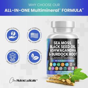 Popular <b>Sea</b> <b>Moss</b> <b>Capsule</b> Private Label Immunity Boosting Metabolism Support Vitamin Enriched Hard <b>Capsules</b> 24 Months Shelf Life - Product Image 2