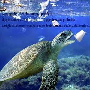 Envío por correo de plástico Bolsas de polietileno Sobres Polymailer Bolsa de mensajería - Product Image 5