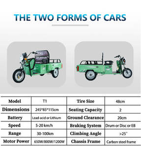 Elektrische Vrachtdriewieler Met Industriële Sterkte Met 500Kg + Laadvermogen - Product Image 6