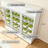 Nouveau conteneur hydroponique mobile multi-niveaux pour la maison avec irrigation à commande intelligente et garantie de 3 mois