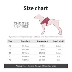 Arnés de lujo reflectante para perro, tipo chaleco, sin tirones, con correa para el pecho, de poliéster cómodo, para Dachshund - Product Image 3