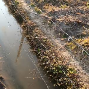 Malla <span class=keywords><strong>de</strong></span> <span class=keywords><strong>alambre</strong></span> <span class=keywords><strong>de</strong></span> púas <span class=keywords><strong>de</strong></span> acero galvanizado para uso en exteriores a largo plazo, púas afiladas, fácil instalación, bajo mantenimiento, protección <span class=keywords><strong>de</strong></span> la construcción del ganado - Product Image 5