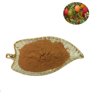 Fabrieksprijs Ctm Mu Bie Zi Gac Fruitpoeder Momordica Cochinchinensis Zaad Extract Poeder In Bulkvoorraad - Product Image 1
