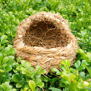 Maison pour animaux de compagnie en paille faite à la main, ronde, taille moyenne, pour oiseaux, en matériau végétal, mobilier pour animaux - Product Image 4