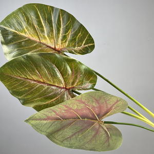 Orejas <span class=keywords><strong>de</strong></span> <span class=keywords><strong>elefante</strong></span> simuladas Variegated Artificial Alocasia Macrorrhiza 3D Hoja en forma <span class=keywords><strong>de</strong></span> corazón Tropical Palm Hermosa <span class=keywords><strong>Planta</strong></span> artificial - Product Image 4