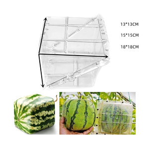 แม่พิมพ์พลาสติกใสทรงสี่เหลี่ยมขนาดใหญ่ 12 15 18 ซม. สำหรับทำฟักทอง <span class=keywords><strong>แตงโม</strong></span> แบบนำกลับมาใช้ใหม่ได้ <span class=keywords><strong>ขายส่ง</strong></span> - Product Image 2