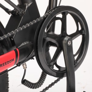 Ebike-Bicicleta eléctrica Plegable de llanta ancha, 20 pulgadas, 36v, 250W, Super Model 73 - Product Image 4
