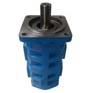 Bomba Hidráulica para Plataforma de Perforación Huamao 15-1 |   Bomba de Engranajes Serie CBGJ CBGJ2032-B2L-30 de Bajo Ruido - Product Image 6