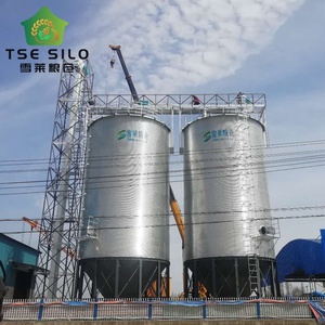 Silo à fond trémie TSE, bonne étanchéité, capacité 500T-1000T, plaque d'acier galvanisé, certifié ISO CE, longue durée de vie 20-50 ans - Product Image 4