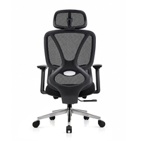 Chaise de bureau moderne, confortable, ergonomique, avec support lombaire réglable, pivotante et dotée d'un dossier en maille respirante