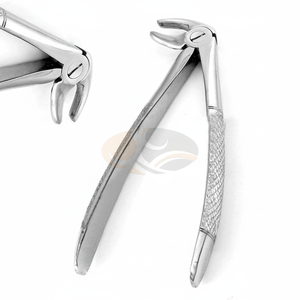 Nouvelles forceps d'extraction dentaire allemandes de qualité MD3, forceps manuels certifiés CE en acier inoxydable, instruments d'extraction dentaire 5 - Product Image 1