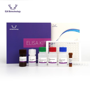 Kit ELISA para el Ácido Butírico (BA) ELK8174 |   Inhibición Competitiva ELISA para Uso en Investigación Científica - Product Image 1