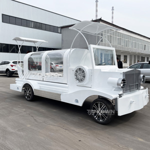 Cercueil électrique intégré de luxe, couleurs personnalisables, véhicule funéraire pour l'extérieur, vente directe d'usine - Product Image 1