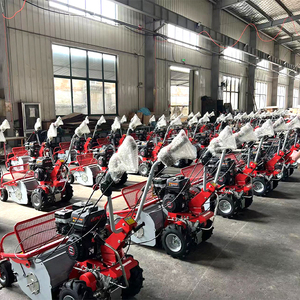 Tagliaerba Manuale a Spinta in Ferro per Giardino e Agricoltura - Product Image 5