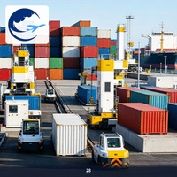 Logística de Contenedores Puerta a Puerta Rápida de Yiwu a Polonia, Servicio de Despacho de Aduanas FCL LCL DDP DDU