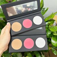 Palette de maquillage personnalisée DIY, haute pigmentation, blush vegan, illuminateur, contour, palette de cosmétiques longue tenue