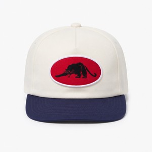 Casquette de course T&L personnalisée avec étiquette tissée, impression par sublimation, 100 % coton, tissu toile imperméable, pour la gym et le fitness - Product Image 2