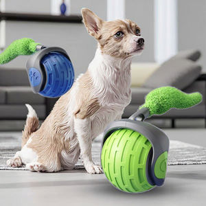 Nuovo Giocattolo Elettrico Interattivo per Gatti e Cani: Palla Automatica Intelligente con Coda per Divertimento e Inseguimento Sicuro - Product Image 1