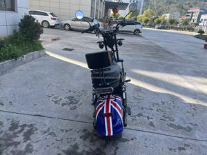 สกู๊ตเตอร์ไฟฟ้า Citycoco รุ่น Citycoco 2000w แฮนด์บาร์ 69 ซม. สำหรับตลาดบราซิล - Product Image 2