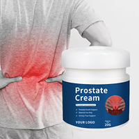 Crème pour la prostate pour hommes 20g, extrait de plantes, usage externe, apaise l'inconfort, réduit les urinations nocturnes, soutient la santé des voies urinaires