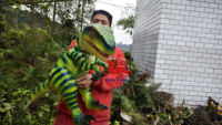 Marionnette Raptor réaliste à rayures vertes et jaunes
