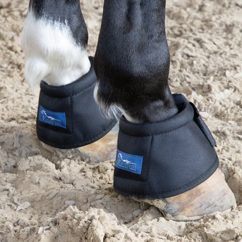 Adjustable PU Shell Neoprene Horse Care