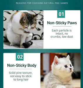 Litière pour chat en <span class=keywords><strong>bois</strong></span> de pin naturel, sable pour chat en gros, litière pour chat en fibres de cèdre, <span class=keywords><strong>granulés</strong></span> de bouleau, sable pour chat 100% biodégradable - Product Image 3