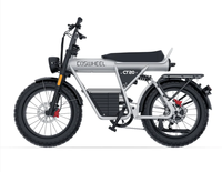 Vélo électrique à cadre en aluminium en stock UE, batterie cachée 1200Wh, Bomber 48V Enduro, pneus larges 20*5, VTT tout-terrain