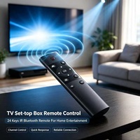 Control Remoto Infrarrojo JCXK de 24 Teclas, Plástico ABS para TV y Decodificador, OEM ODM Personalizado