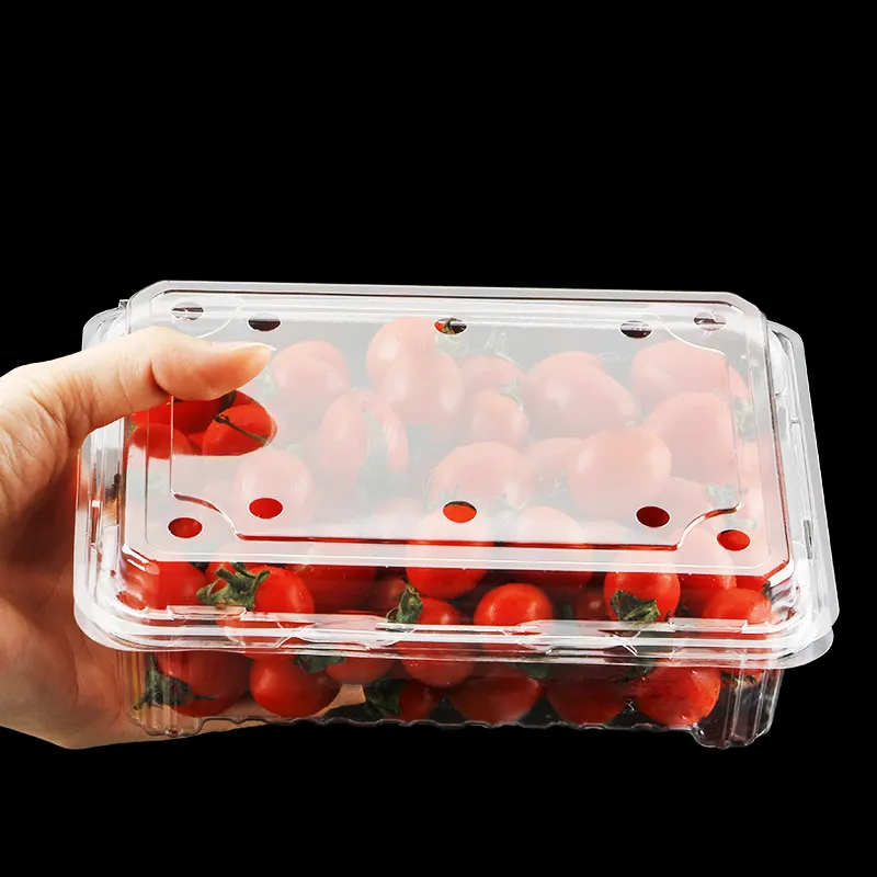 विशेष गर्म बिक्री मूल्य डिस्पोजेबल फल प्लास्टिक स्पष्ट पैकेजिंग खाद्य बॉक्स