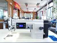 Machine à coudre industrielle, DS-5530-DZ, entraînement Direct, Auto-huile, Zigzag (grand crochet)