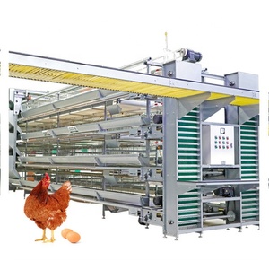 Thiết bị chăn nuôi gia cầm tự động chất lượng cao, chuồng gà đẻ bán - Product Image 1