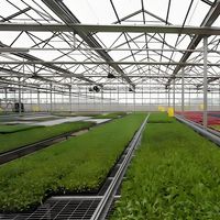 Équipement agricole, serre à faible coût en acier galvanisé, structure robuste, bâtiments agricoles, structures en acier lourd