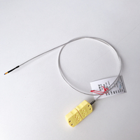 Sensor RTD Pt100 de 3 Cables a Prueba de Agua de Alto Rendimiento Haichen, Conexión de Rosca de Acero Inoxidable, Uso Industrial OEM