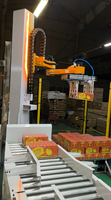 Robot de palettisation de sacs, bras robotique de palettisation, robot automatique pour la palettisation, 240 sacs/h, 25-200 kg/sac, IP52