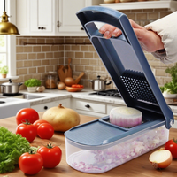 Coupe-légumes multifonctionnel, facile à utiliser, manuel, gadgets de cuisine, trancheuse et hachoir à légumes en plastique