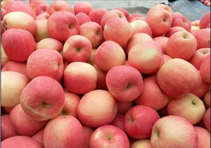 Bán nóng iqf thái hạt lựu táo đông lạnh trái cây tươi cho bán lẻ số lượng lớn và bao bì bán buôn - Product Image 5