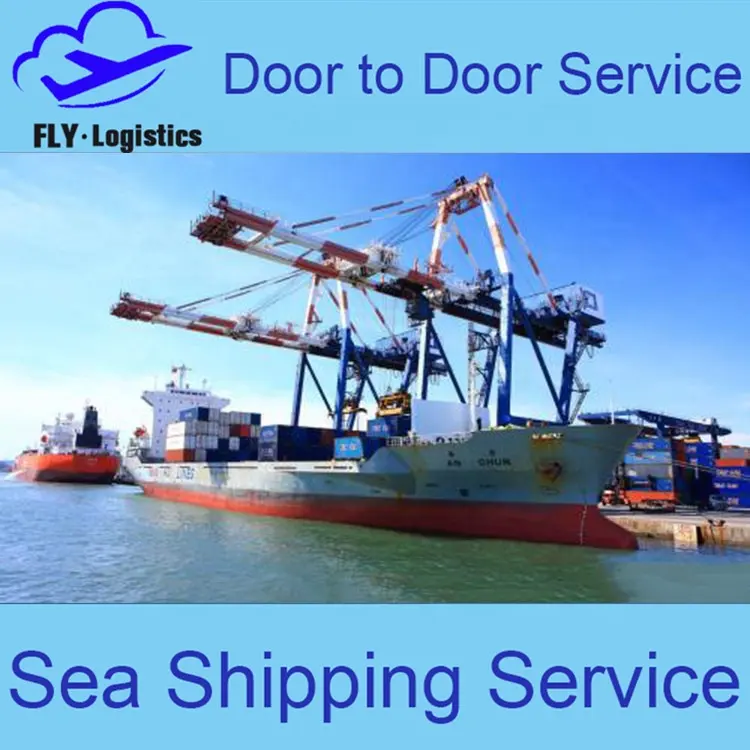 Ningbo forwarder International sea freight shipping to Belgium